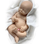 Image of Reborn Baby Dolls 6 Inch Mini Palm Silicone Bebe Reborn Kits