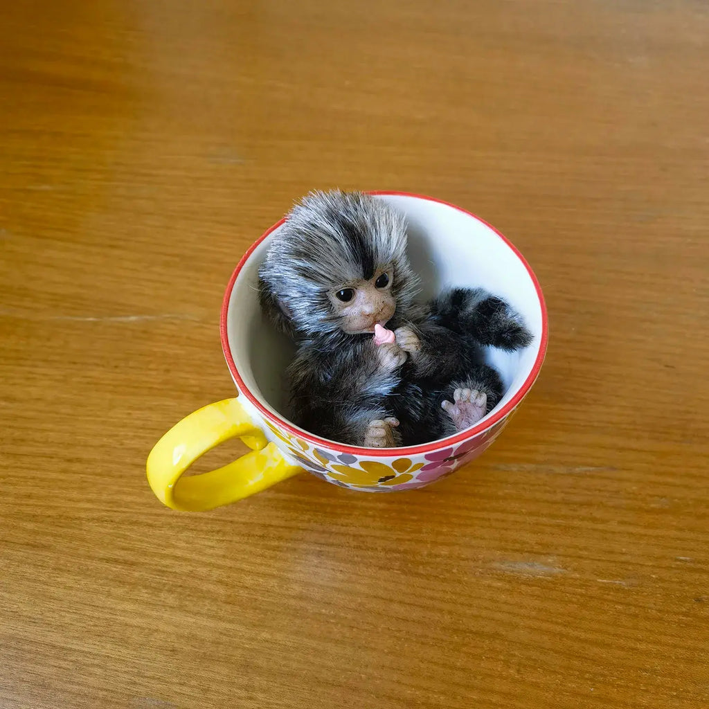 Image of Reborn Baby Dolls 6’’ Avani Doll Full Body Silicone Monkey Drinking