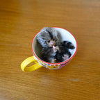 Image of Reborn Baby Dolls 6’’ Avani Doll Full Body Silicone Monkey Drinking