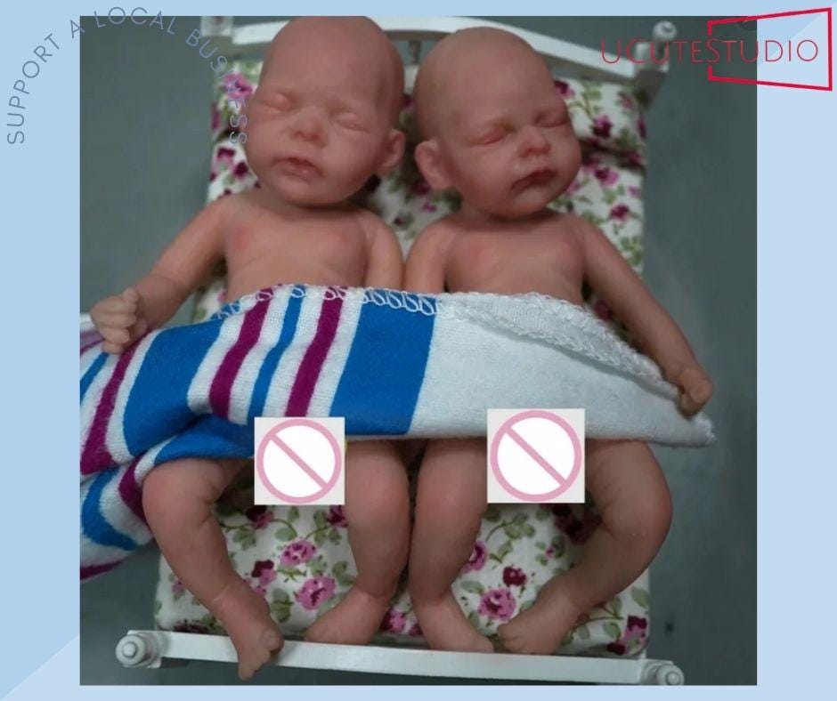 Silicone Twin Baby Dolls | Reborn Twin Baby Dolls | Reborn Baby Dolls